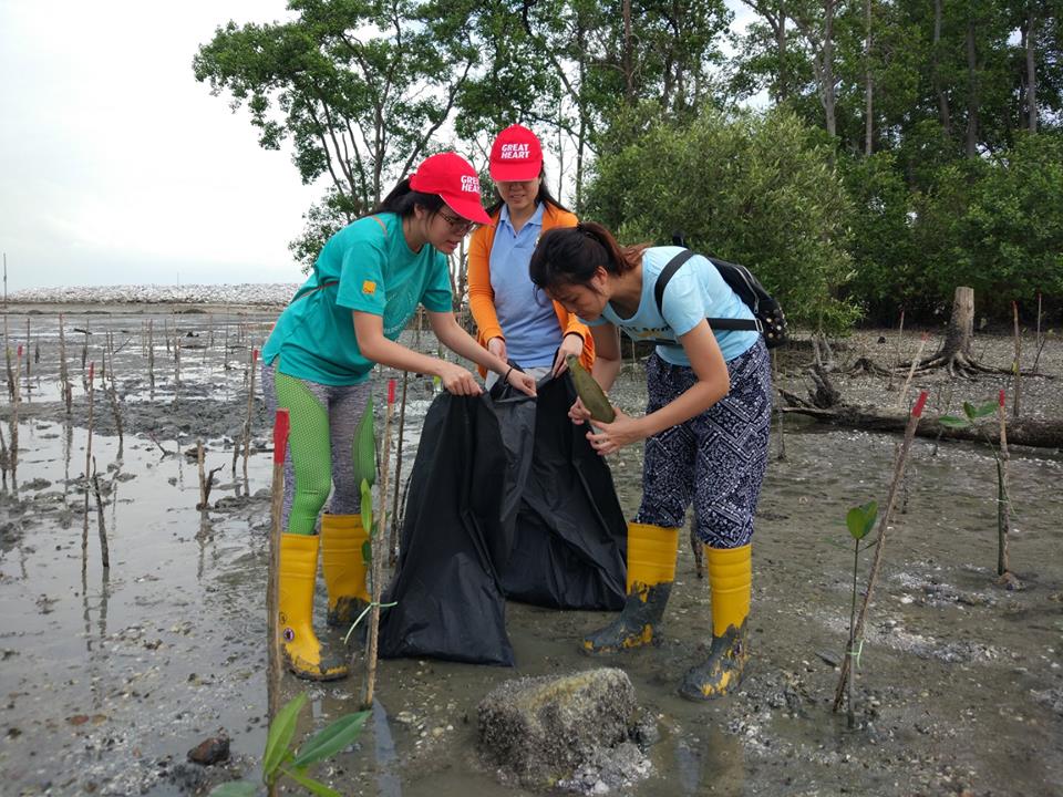 Get your hands dirty to save trashes from the ocean