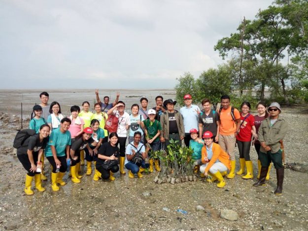 对于种树/园艺没有任何知识概念和兴趣的我…