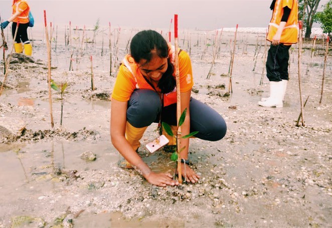 Protecting The Shoreline