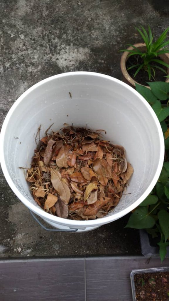 Home Composting to Save the Environment